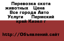 Перевозка скота животных › Цена ­ 39 - Все города Авто » Услуги   . Пермский край,Кизел г.